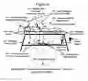 Fig. 29 - Apparatus and methods to improve sleep, reduce pain and promote natural healing