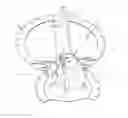 Fig. 01 - Penile implant with convertible proximal tip