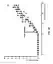 Fig. 10 - Method for Reflex Threshold Estimation in Spastic Muscles