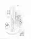 Fig. 02 - Radiographic image capturing system and bioptic method using radiographic image capturing system