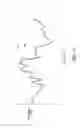 Fig. 11 - Ultrasonic image processing with directional interpolation in order to increase the resolution of an image
