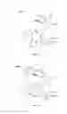 Fig. 11 - Catheter Having Needle And Expandable Support Member And Methods Of Use