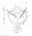 Fig. 02 - Methods and systems for posterior segment volume measurement