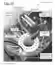 Fig. 10 - Bladder driven linear cylinder and associated devices driven thereby