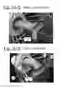 Fig. 17 - Bladder driven linear cylinder and associated devices driven thereby