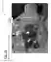 Fig. 19 - Bladder driven linear cylinder and associated devices driven thereby