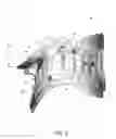 Fig. 07 - Adjustable cervical collar