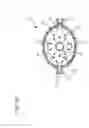 Fig. 06 - Catheter adapter having UV-C antimicrobial radiation source and access window within catheter lumen for intravenous therapy