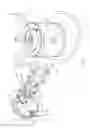 Fig. 12 - DC-AC frequency converter type nose cleaner