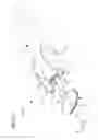 Fig. 05 - Neonatal and pediatric catheter system