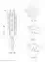 Fig. 03 - Lubricated tampon having invertible flaps for facilitated insertion and removal