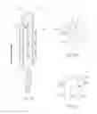 Fig. 06 - Lubricated tampon having invertible flaps for facilitated insertion and removal