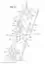 Fig. 11 - Assembly to facilitate user reconstitution