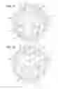 Fig. 15 - Assembly to facilitate user reconstitution