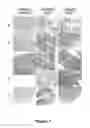 Fig. 02 - Tissue repair with multipotent cells