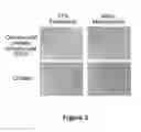 Fig. 05 - Tissue repair with multipotent cells