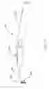 Fig. 13 - Devices and methods for dilating a paranasal sinus opening and for treating sinusitis