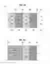Fig. 04 - ENERGY DELIVERY SYSTEMS AND USES THEREOF