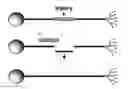 Fig. 01 - METHOD AND SYSTEM FOR NERVE REPAIR, NANOKNIFE, MEMS PLATFORM AND USES THEREOF