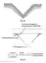 Fig. 05 - METHOD AND SYSTEM FOR NERVE REPAIR, NANOKNIFE, MEMS PLATFORM AND USES THEREOF