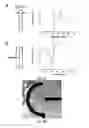 Fig. 23 - METHOD AND SYSTEM FOR NERVE REPAIR, NANOKNIFE, MEMS PLATFORM AND USES THEREOF