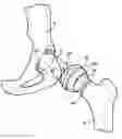 Fig. 01 - Combination male/female hip joint and installation kit