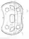 Fig. 08 - Shield for oral devices for infants