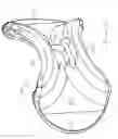 Fig. 11 - Shield for oral devices for infants
