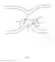 Fig. 03 - GASTROINTESTINAL DEVICE