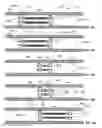 Fig. 22 - Lumen-traveling biological interface device and method of use