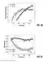 Fig. 06 - Implant with a surface layer having a topographic modification