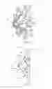 Fig. 23 - Prosthesis for reducing intra-cardiac pressure having an embolic filter
