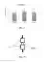 Fig. 09 - Compositions and methods for treating bone defects