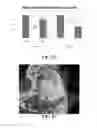 Fig. 27 - Compositions and methods for treating bone defects