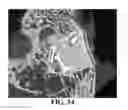 Fig. 28 - Compositions and methods for treating bone defects