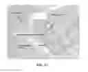 Fig. 30 - Compositions and methods for treating bone defects