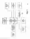 Fig. 10 - Dynamic routing of audio among multiple audio devices