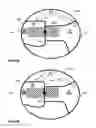 Fig. 11 - Method and system for regulating movement of an entity between zones