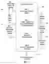 Fig. 02 - Method and system for analysis and error correction of biological sequences and inference of relationship for multiple samples