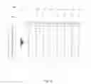 Fig. 05 - Network analysis