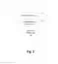 Fig. 03 - Interpreting web application content