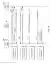 Fig. 06 - TCP MULTIPLEXING OVER A PROXY