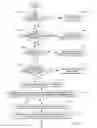 Fig. 11 - Clearing guest frames absent paging-in to host main storage