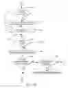 Fig. 14 - Clearing guest frames absent paging-in to host main storage