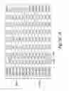 Fig. 09 - Stripe-based non-volatile multilevel memory operation