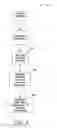Fig. 05 - Three dimensional navigation of listing information