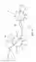 Fig. 16 - Optical network design apparatus and method