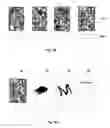 Fig. 05 - Multi-step challenge-response test