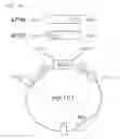 Fig. 03 - Method for Preparation and Purification of Recombinant Proteins