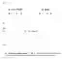 Fig. 10 - Method for Preparation and Purification of Recombinant Proteins